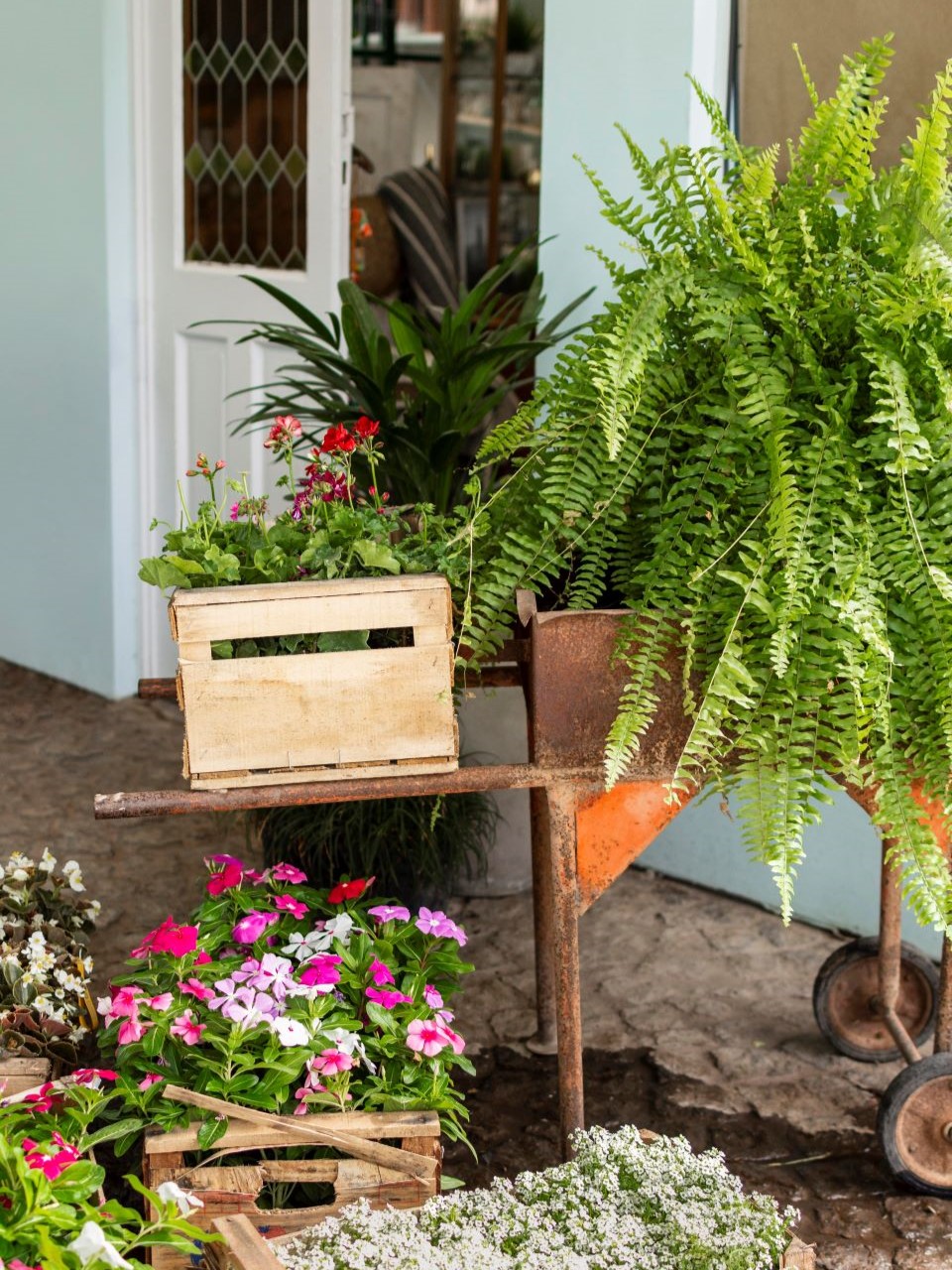 plants-pot-with-watering-can960