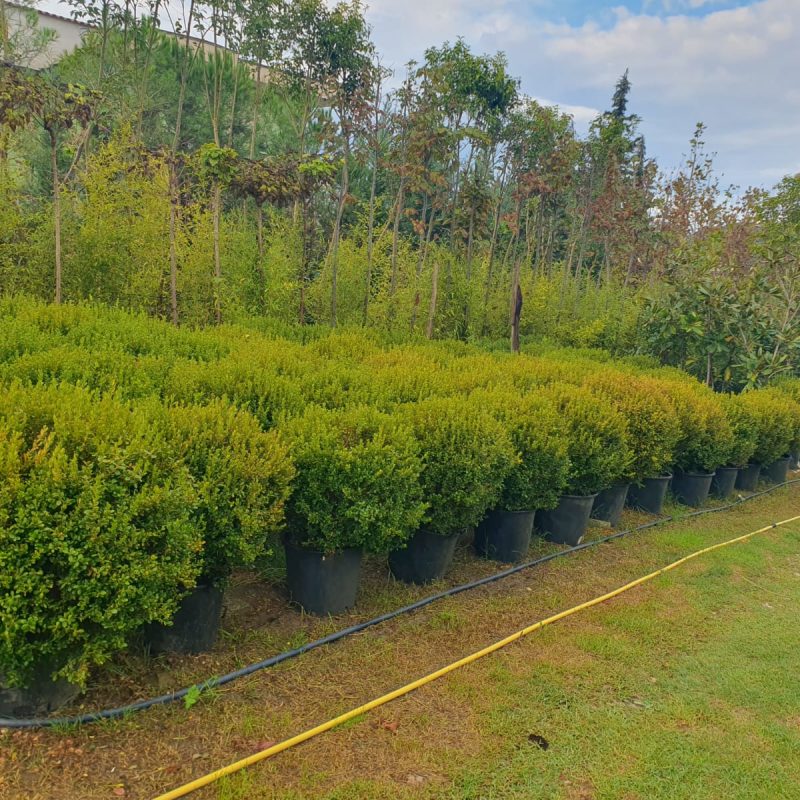 WhatsApp Image 2024-10-09 at 09.26.38_ec0ae076